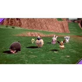 『ポケットモンスター バイオレット＋ゼロの秘宝』