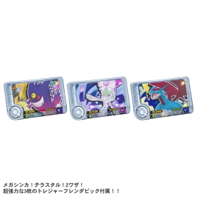 ポケモンフレンダ フレンダフォルダーセットDX ｜【公式】ポケモン