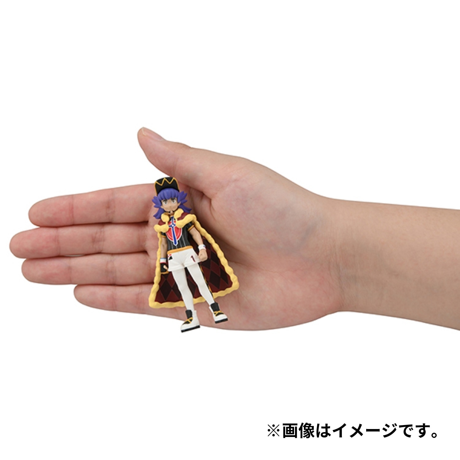 モンコレトレーナーコレクション(ダンデ)