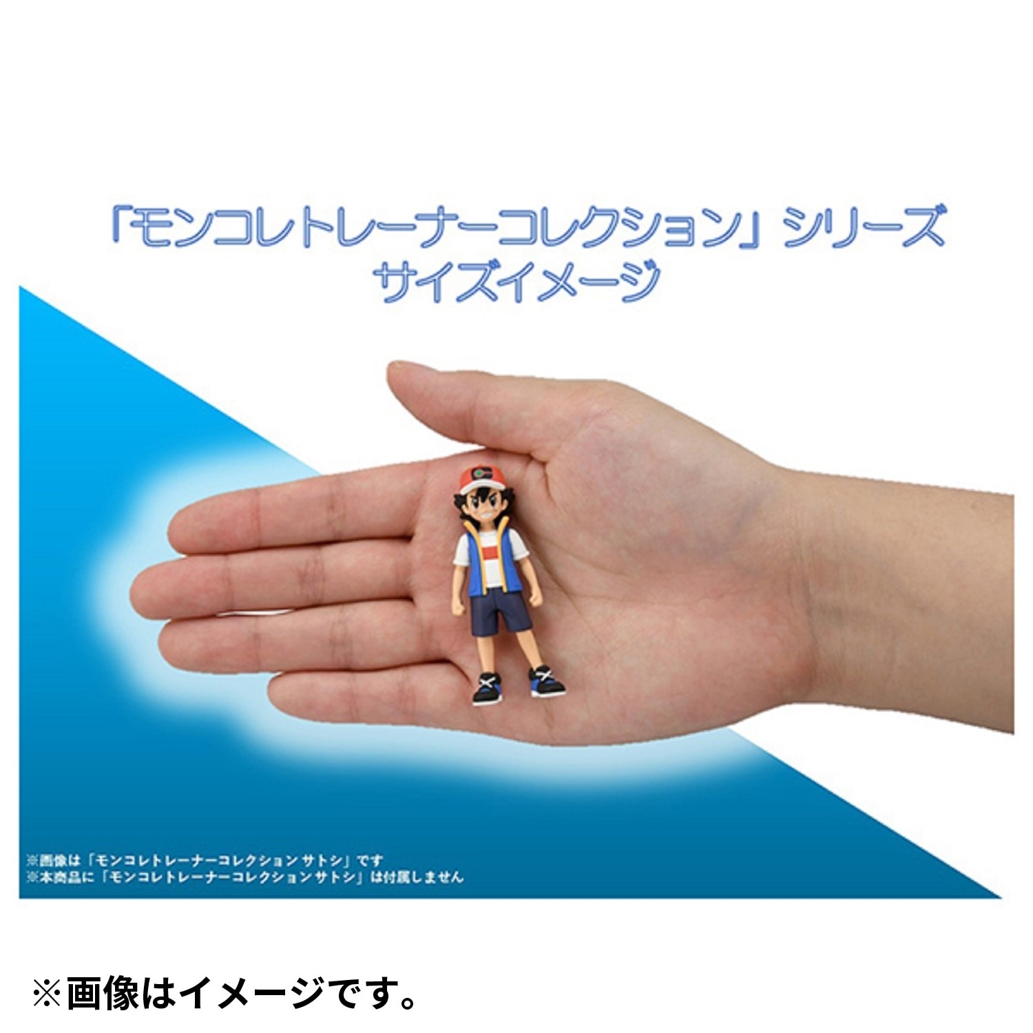 モンコレトレーナーコレクション(シロナ) ｜【公式】ポケモン
