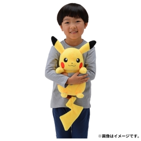 ポケモンぬいぐるみ　だっこして！ピカチュウ