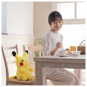 おうちにポケモン PIKACHU