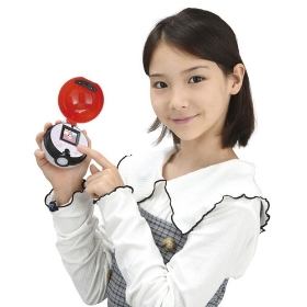 ポケモンといっしょ!モンスターボール