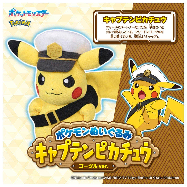 アニポケ