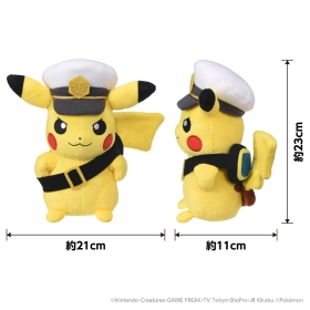 アニポケ