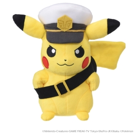 アニポケ