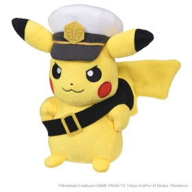 アニポケ
