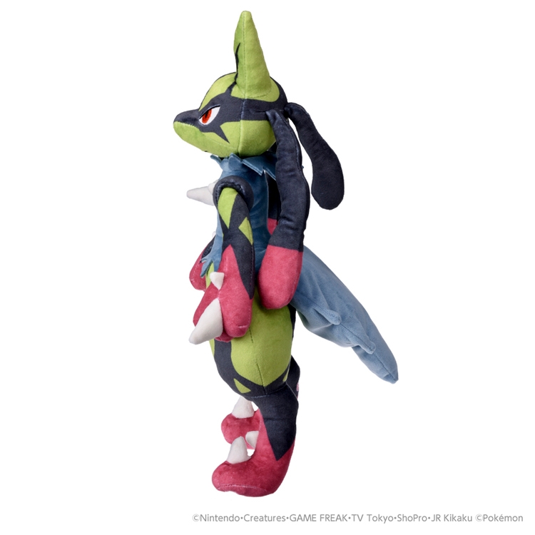アニポケ
