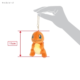 中古 ポケモン ぬいぐるみ ヒトカゲ ポケモンセンター限定