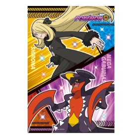 ポケモンセンター 限定 メガくじ 2015 メガパスケースリフレクター 全12種 ポケモンセンター メガくじ 2015 メガパスケースリフレクター