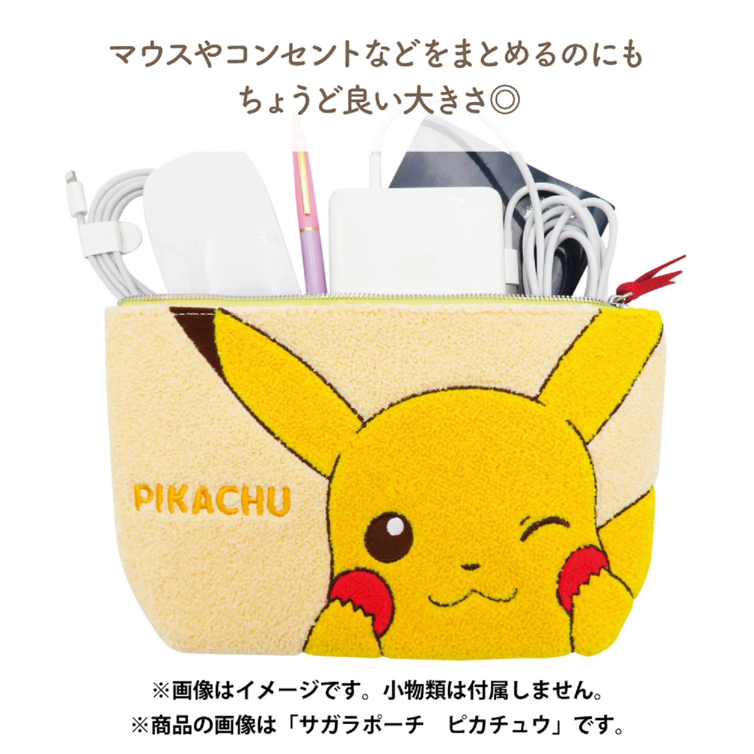 サガラポーチ　デデンネ