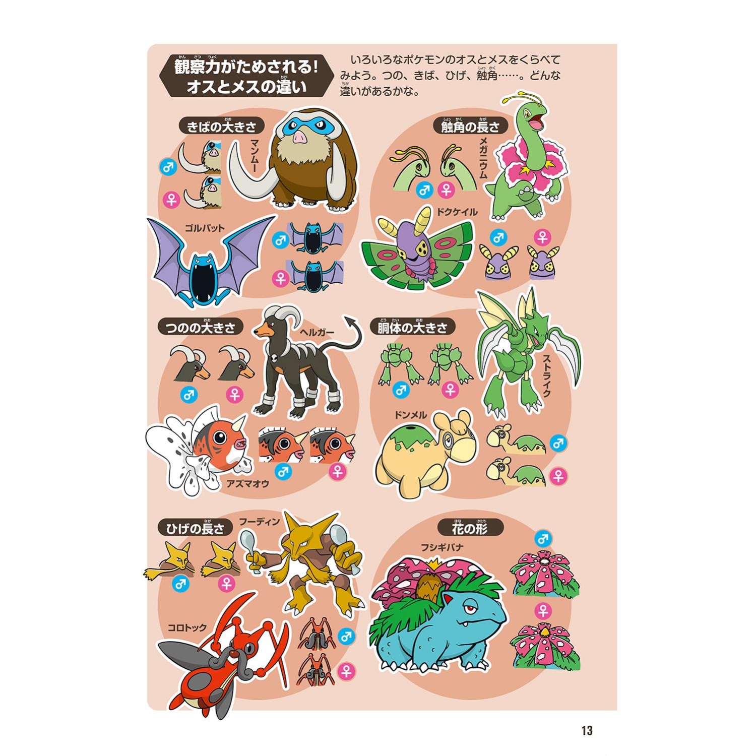 ポケモン生態図鑑