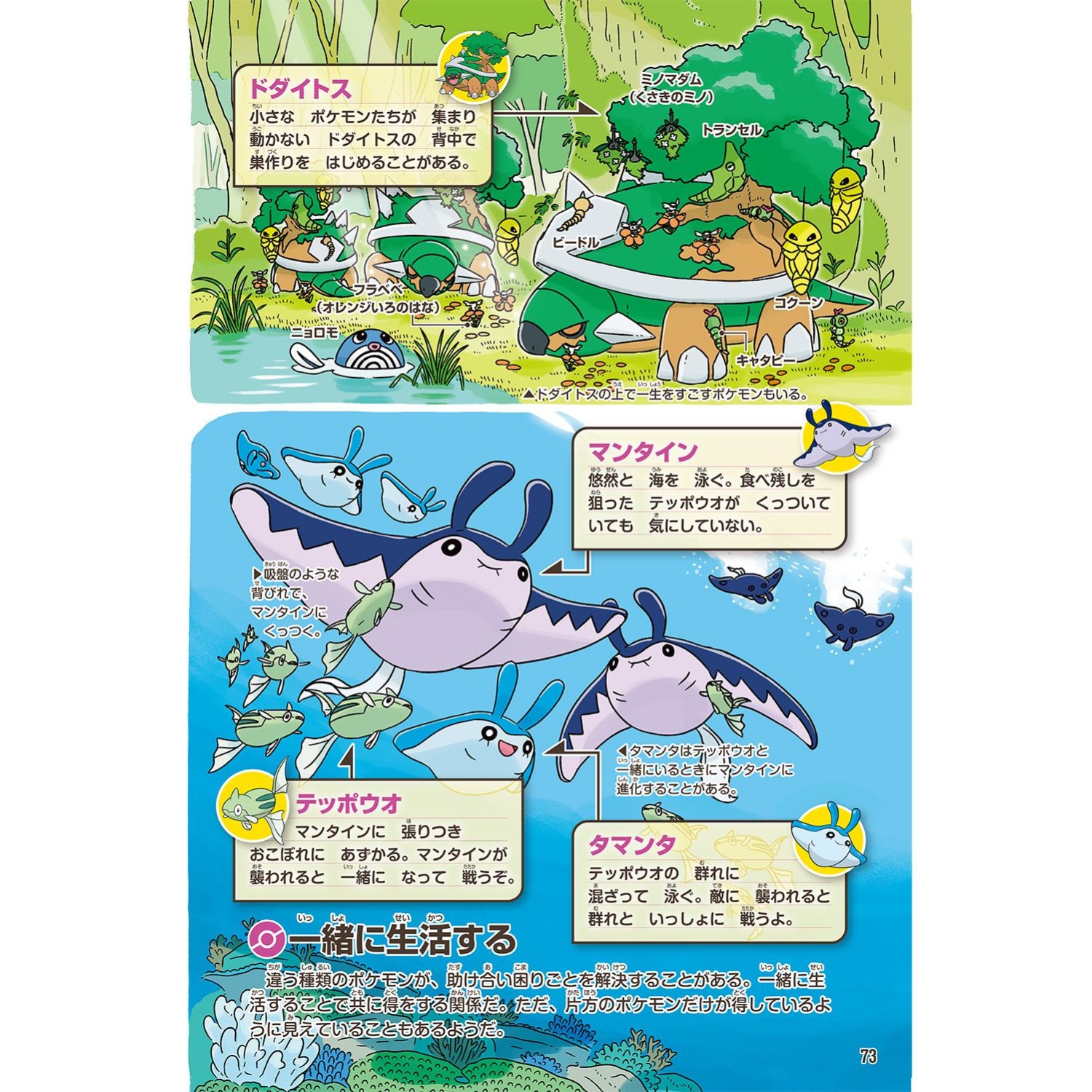 ポケモン生態図鑑