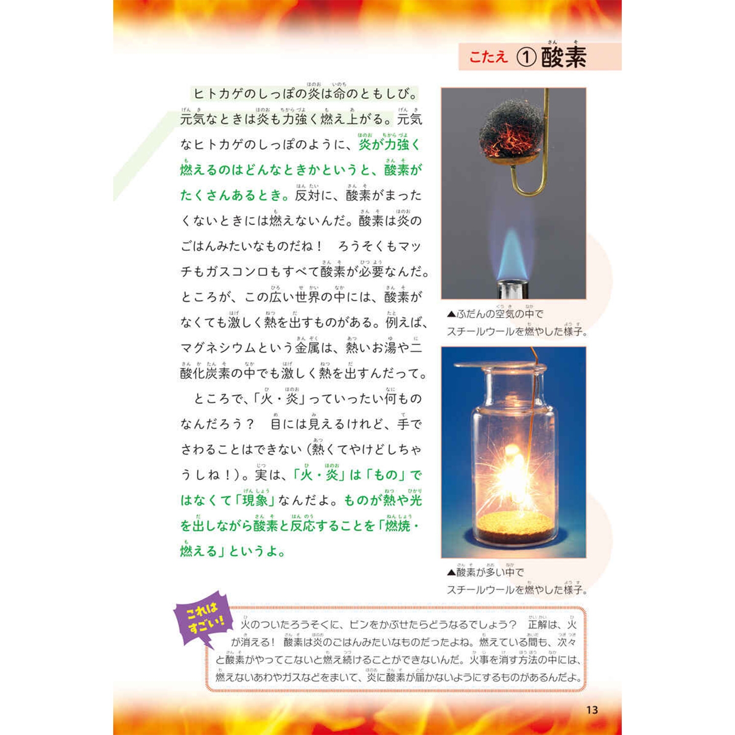 ポケモン サイエンスブック ほのお