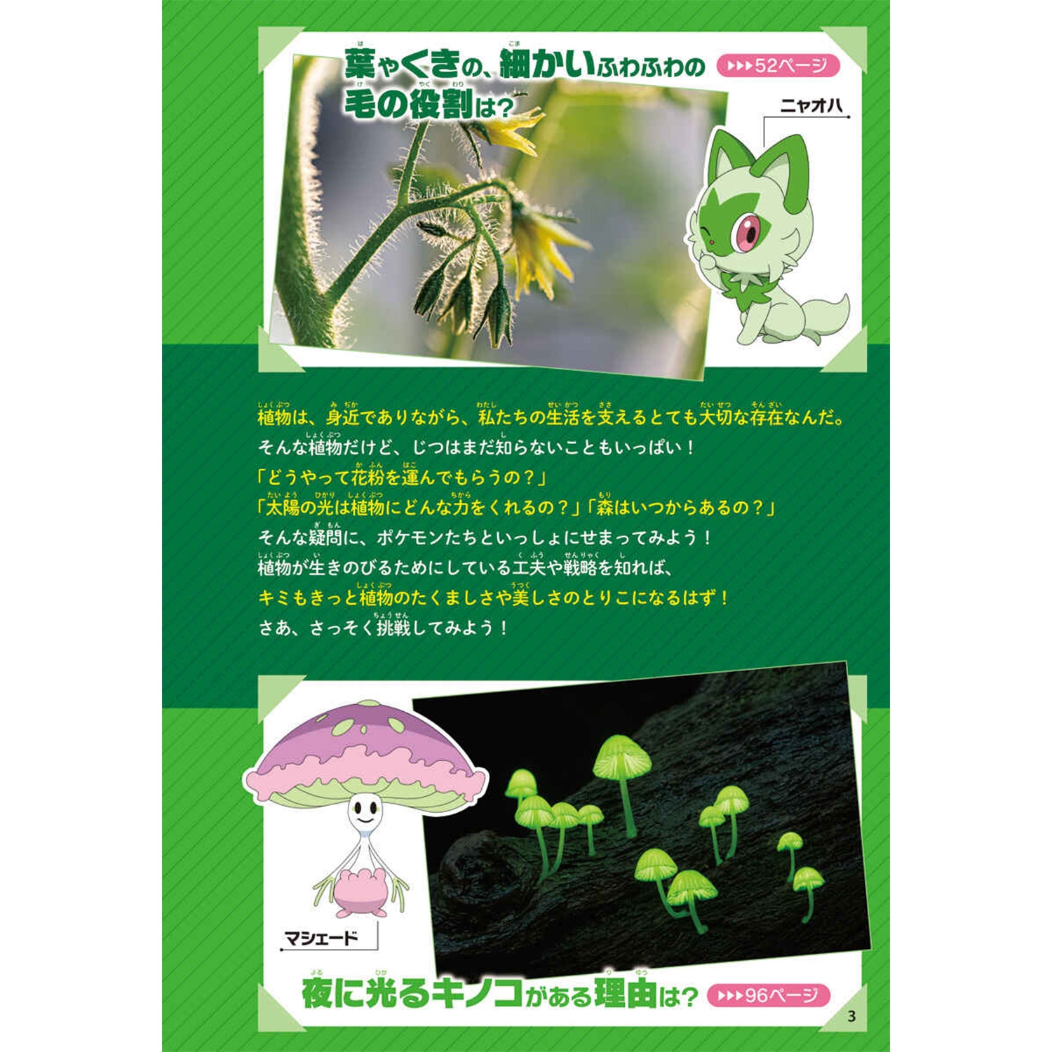 ポケモン サイエンスブック くさ