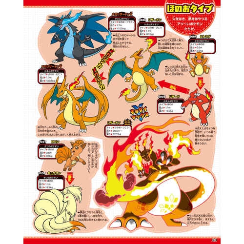 ポケモン大図鑑1020＋