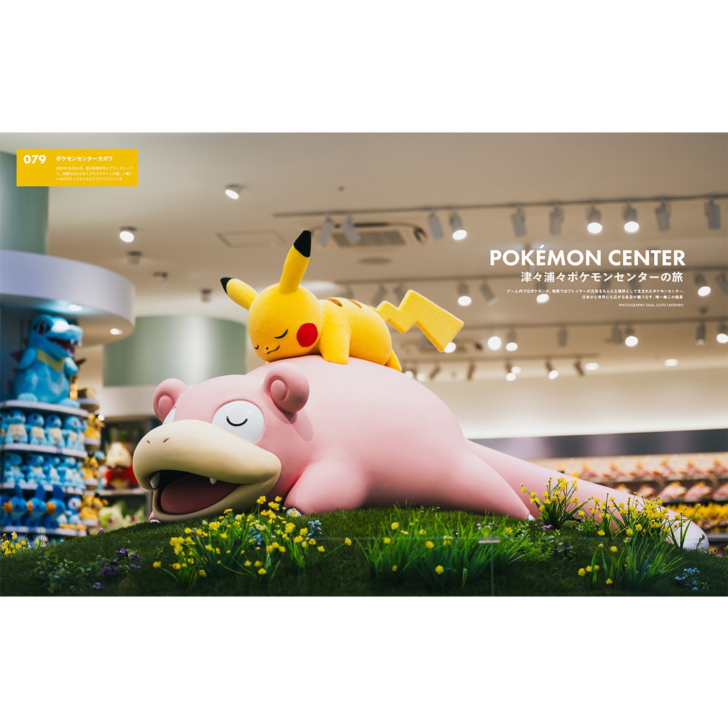 SWITCH Vol.44 No.3　特集　ポケモン百景