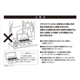 Nintendo Switchソフト『ポケットモンスター リーフグリーン』特別版