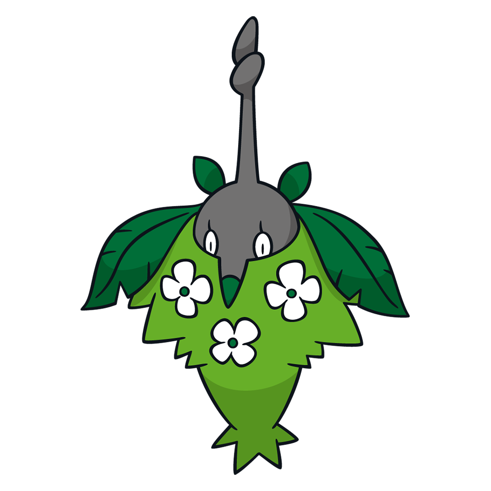 ミノマダム