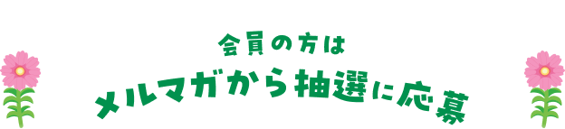 会員の方はメルマガから抽選に応募