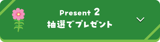 Present 2 抽選でプレゼント