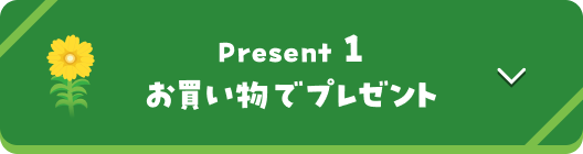 Present 1 お買い物でプレゼント