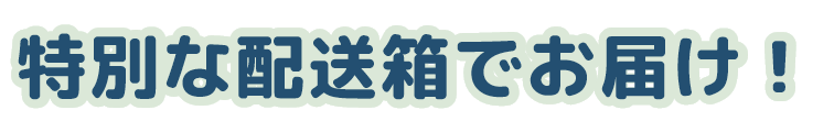 特別な配送箱でお届け！