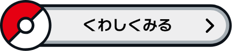 くわしくみる