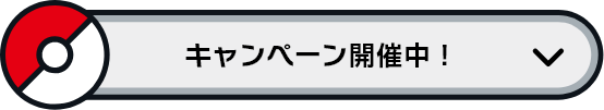キャンペーン開催！