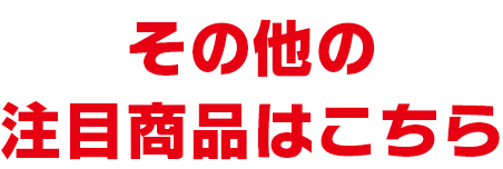 その他の注目商品はこちら