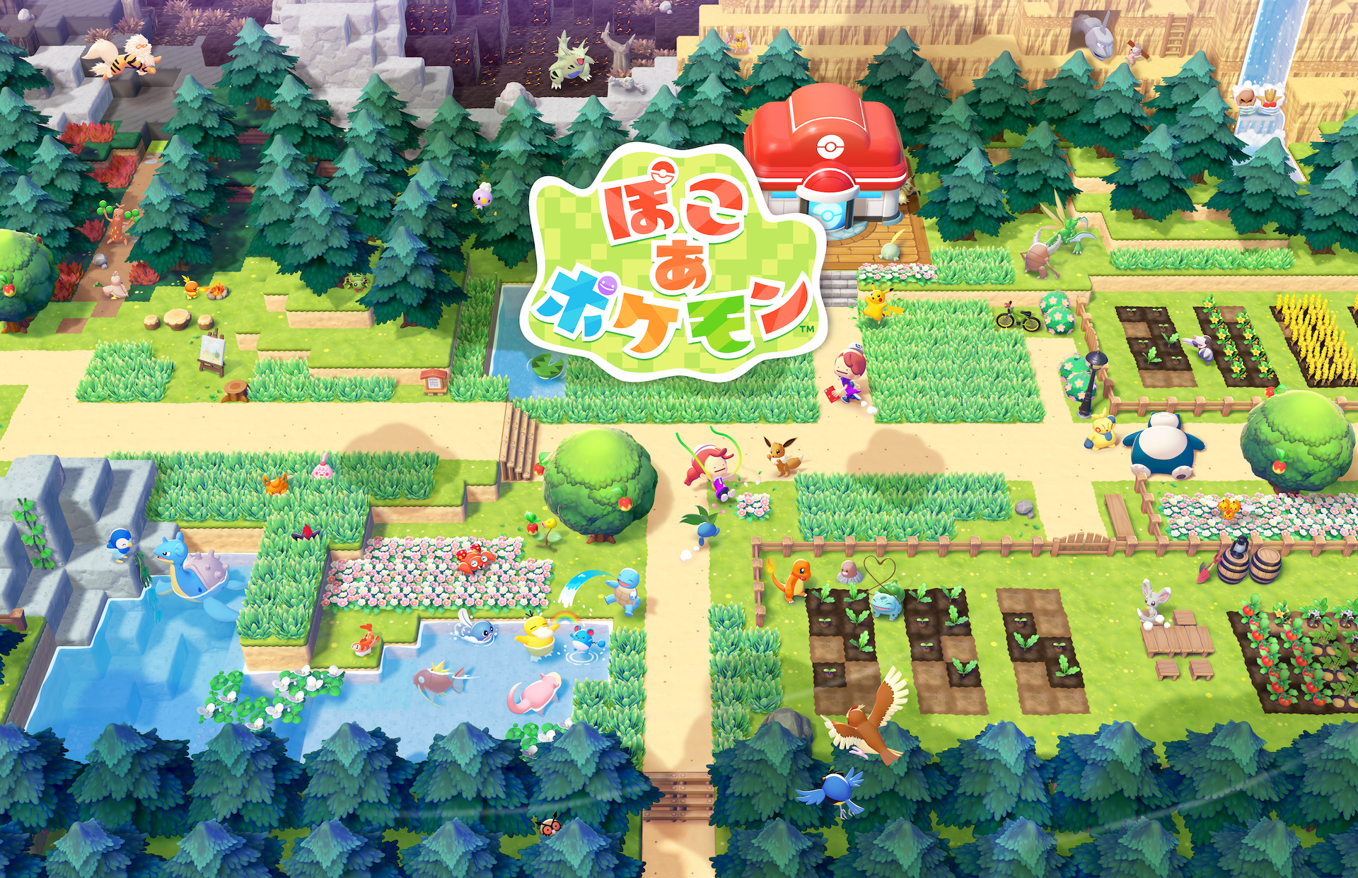 『ぽこ あ ポケモン』の予約受け付けが、スタート！
