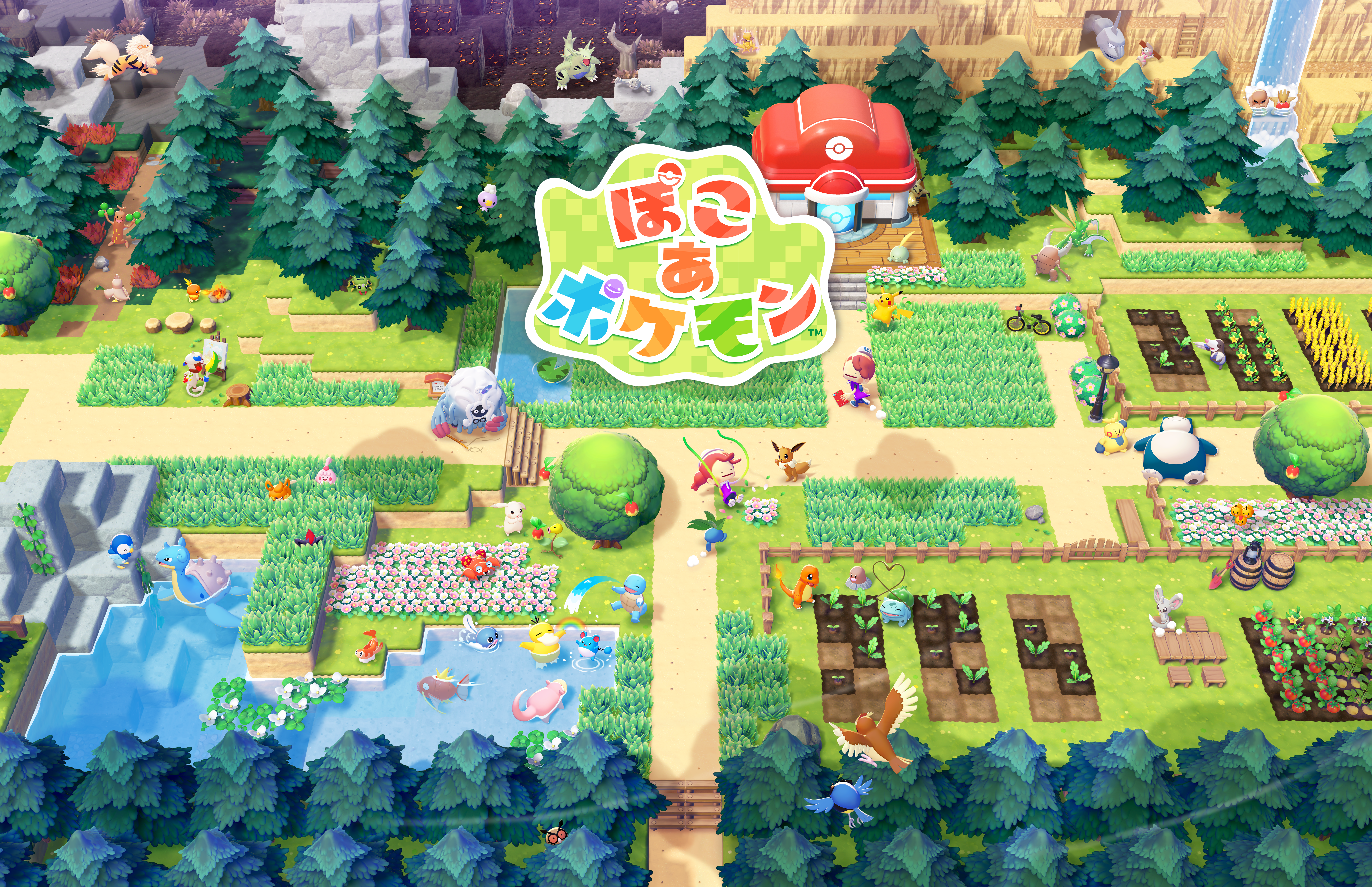 『ぽこ あ ポケモン』の予約受け付けが、スタート！