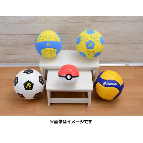 MIKASA サッカーボール5号 Pokémon SPORTS : ポケモンセンターオンライン