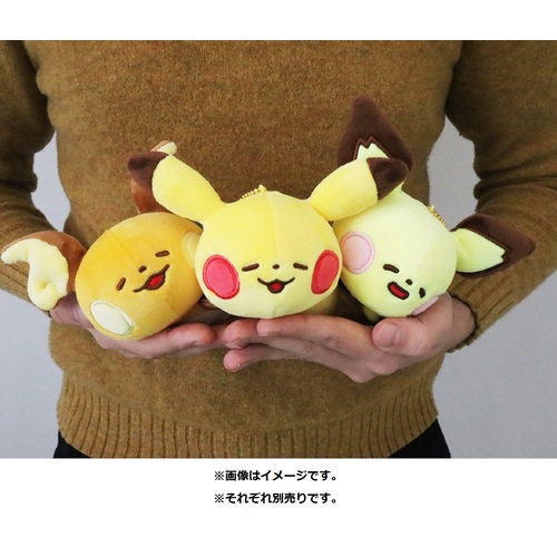 pokemon yurutto ポケモンぬいぐるみ マスコット一式 - whirledpies.com