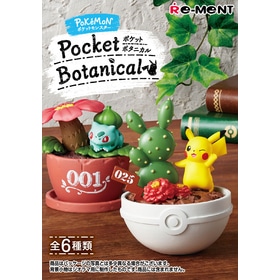 Pocket Botanical　BOX